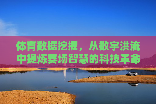 体育数据挖掘,从数字洪流中提炼赛场智慧的科技革命,从数字洪流到赛场智慧,体育数据挖掘的科技革命 体育数据挖掘,从数字洪流中提炼赛场智慧的科技革命,从数字洪流到赛场智慧,体育数据挖掘的科技革命