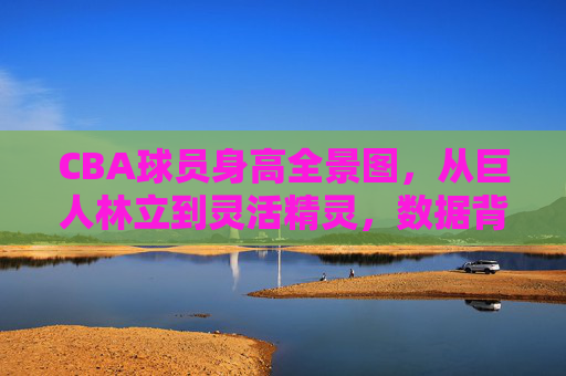 CBA球员身高全景图,从巨人林立到灵活精灵,数据背后的位置密码,CBA球员身高全景图,位置密码背后的身高分布 CBA球员身高全景图,从巨人林立到灵活精灵,数据背后的位置密码,CBA球员身高全景图,位置密码背后的身高分布