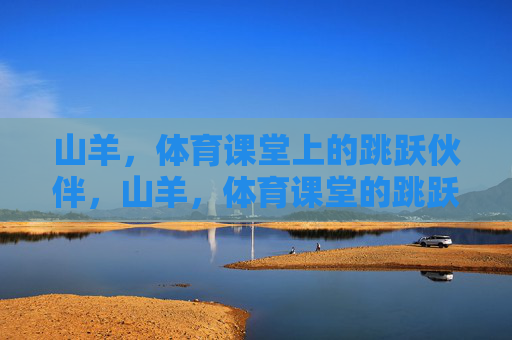 山羊,体育课堂上的跳跃伙伴,山羊,体育课堂的跳跃伙伴 山羊,体育课堂上的跳跃伙伴,山羊,体育课堂的跳跃伙伴