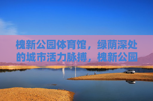 槐新公园体育馆，绿荫深处的城市活力脉搏，槐新公园体育馆，绿荫深处的城市活力脉搏