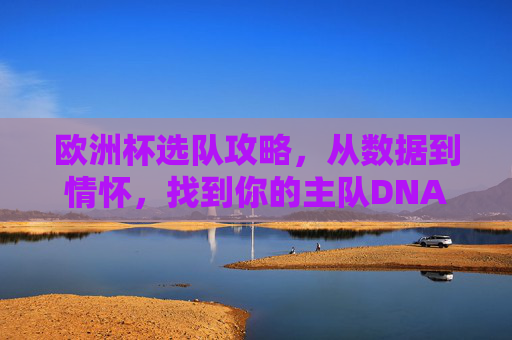 欧洲杯选队攻略,从数据到情怀,找到你的主队DNA,欧洲杯选队攻略,从数据到情怀,找到你的主队DNA 欧洲杯选队攻略,从数据到情怀,找到你的主队DNA,欧洲杯选队攻略,从数据到情怀,找到你的主队DNA