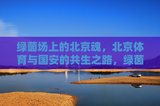 绿茵场上的北京魂,北京体育与国安的共生之路,绿茵魂·共生路,北京体育与国安 绿茵场上的北京魂,北京体育与国安的共生之路,绿茵魂·共生路,北京体育与国安
