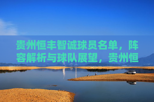 贵州恒丰智诚球员名单，阵容解析与球队展望，贵州恒丰智诚，球员名单、阵容解析与球队展望