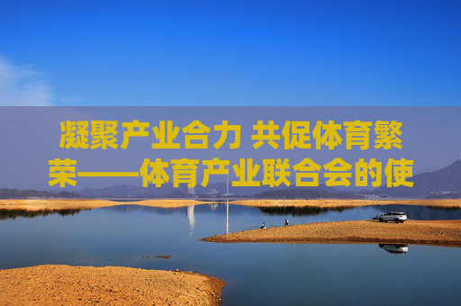 凝聚产业合力 共促体育繁荣——体育产业联合会的使命与担当,凝聚产业合力 共促体育繁荣——体育产业联合会的使命与担当 凝聚产业合力 共促体育繁荣——体育产业联合会的使命与担当,凝聚产业合力 共促体育繁荣——体育产业联合会的使命与担当