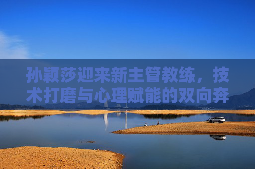 孙颖莎迎来新主管教练,技术打磨与心理赋能的双向奔赴,孙颖莎迎来新主管教练,技术打磨与心理赋能的双向奔赴 孙颖莎迎来新主管教练,技术打磨与心理赋能的双向奔赴,孙颖莎迎来新主管教练,技术打磨与心理赋能的双向奔赴