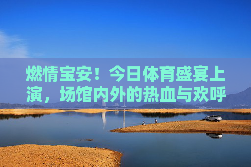 燃情宝安！今日体育盛宴上演，场馆内外的热血与欢呼，燃情宝安！体育盛宴点燃场馆内外热血欢呼
