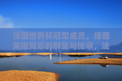 法国世界杯冠军成员,绿茵荣耀背后的群星与传承,法国世界杯冠军群星,绿茵荣耀的传承 法国世界杯冠军成员,绿茵荣耀背后的群星与传承,法国世界杯冠军群星,绿茵荣耀的传承