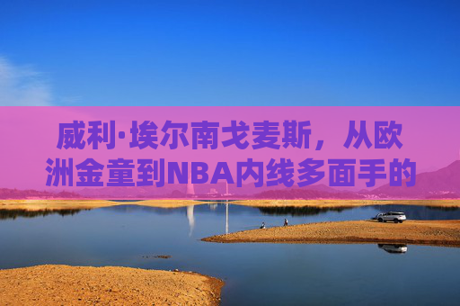 威利·埃尔南戈麦斯,从欧洲金童到NBA内线多面手的坚韧之旅,威利·埃尔南戈麦斯,从欧洲金童到NBA内线多面手的坚韧之旅 威利·埃尔南戈麦斯,从欧洲金童到NBA内线多面手的坚韧之旅,威利·埃尔南戈麦斯,从欧洲金童到NBA内线多面手的坚韧之旅