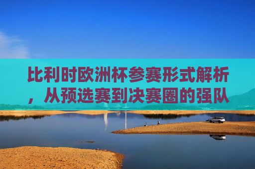 比利时欧洲杯参赛形式解析，从预选赛到决赛圈的强队征程，比利时欧洲杯参赛形式解析，从预选赛到决赛圈的强队征程