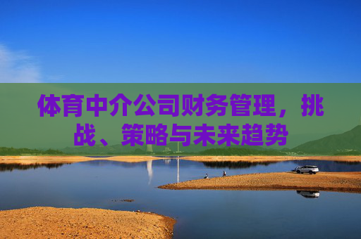 体育中介公司财务管理,挑战、策略与未来趋势 体育中介公司财务管理,挑战、策略与未来趋势