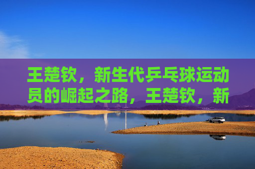 王楚钦，新生代乒乓球运动员的崛起之路，王楚钦，新生代乒乓球运动员的崛起之路