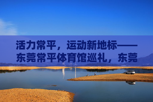 活力常平，运动新地标——东莞常平体育馆巡礼，东莞常平体育馆，活力常平的运动新地标
