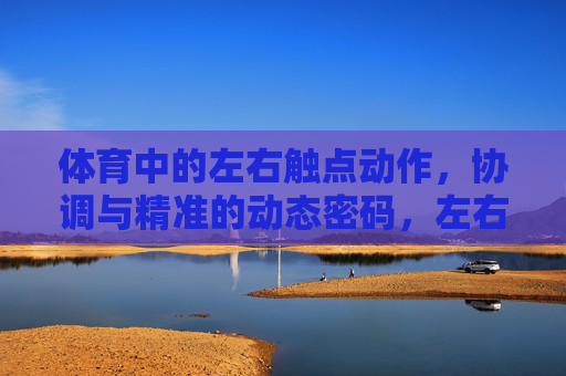 体育中的左右触点动作，协调与精准的动态密码，左右触点，体育协调与精准的动态密码
