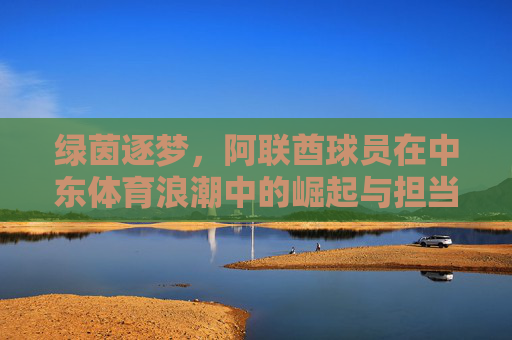 绿茵逐梦，阿联酋球员在中东体育浪潮中的崛起与担当，阿联酋球员，中东体育浪潮中的绿茵崛起与担当