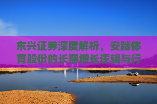 东兴证券深度解析，安踏体育股份的长期增长逻辑与行业龙头地位，东兴证券深度解析安踏体育，长期增长逻辑与行业龙头地位