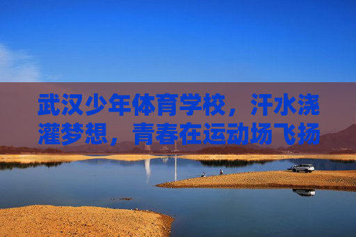 武汉少年体育学校，汗水浇灌梦想，青春在运动场飞扬，武汉少年体校，汗水筑梦，青春飞扬