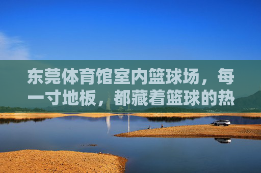 东莞体育馆室内篮球场，每一寸地板，都藏着篮球的热血与梦想，东莞体育馆室内篮球场，热血与梦想，藏在每一寸地板里