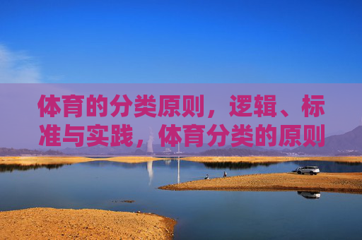 体育的分类原则,逻辑、标准与实践,体育分类的原则、逻辑、标准与实践 体育的分类原则,逻辑、标准与实践,体育分类的原则、逻辑、标准与实践