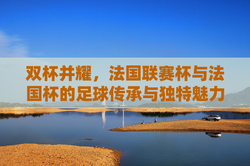 双杯并耀，法国联赛杯与法国杯的足球传承与独特魅力，双杯辉映，法国联赛杯与法国杯的传承与独特魅力