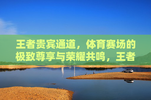 王者贵宾通道，体育赛场的极致尊享与荣耀共鸣，王者贵宾通道，体育赛场的极致尊享与荣耀共鸣