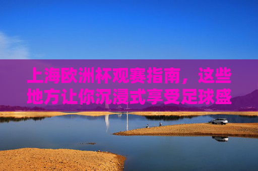 上海欧洲杯观赛指南，这些地方让你沉浸式享受足球盛宴！上海欧洲杯观赛指南，沉浸式畅享足球盛宴