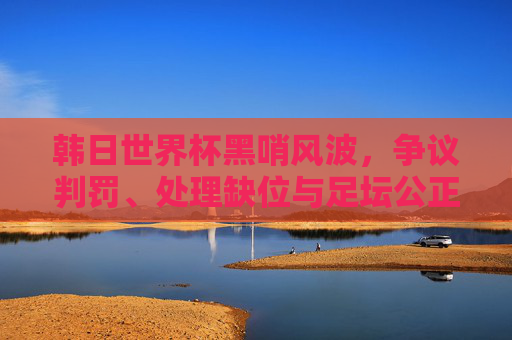 韩日世界杯黑哨风波，争议判罚、处理缺位与足坛公正之思，韩日世界杯黑哨风波，争议、缺位与足坛公正之思