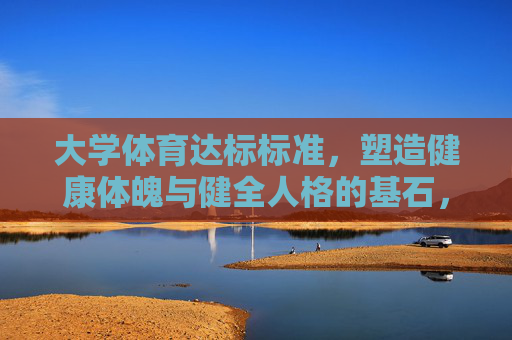 大学体育达标标准，塑造健康体魄与健全人格的基石，大学体育达标标准，健康体魄与健全人格的基石
