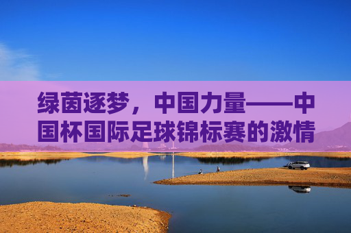 绿茵逐梦，中国力量——中国杯国际足球锦标赛的激情与征程，绿茵逐梦，中国力量——中国杯激情征程