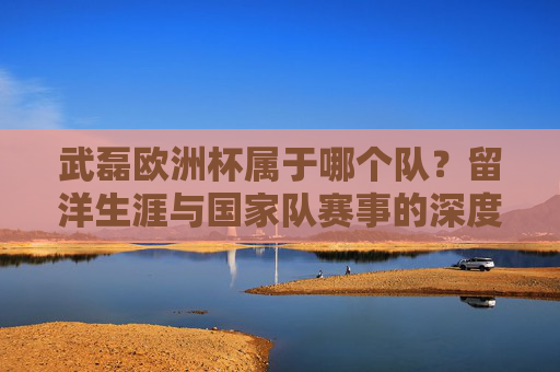 武磊欧洲杯属于哪个队？留洋生涯与国家队赛事的深度解读，武磊的欧洲杯之路，留洋生涯与国家队赛事深度解读