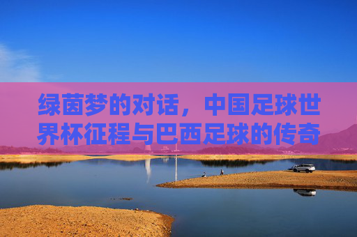 绿茵梦的对话,中国足球世界杯征程与巴西足球的传奇启示,绿茵梦对话巴西传奇,中国足球世界杯征程的启示 绿茵梦的对话,中国足球世界杯征程与巴西足球的传奇启示,绿茵梦对话巴西传奇,中国足球世界杯征程的启示