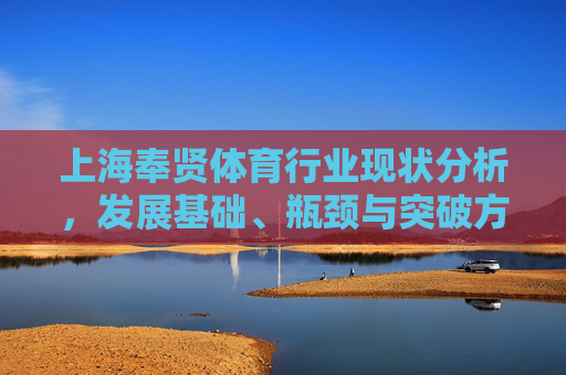 上海奉贤体育行业现状分析，发展基础、瓶颈与突破方向，上海奉贤体育行业发展现状、基础、瓶颈与突破方向