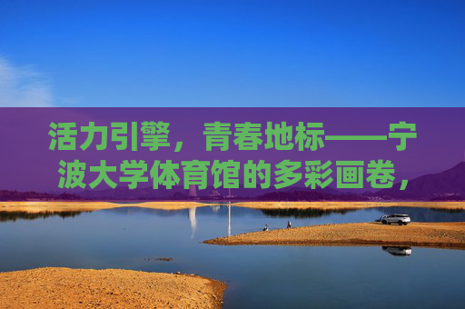活力引擎，青春地标——宁波大学体育馆的多彩画卷，活力引擎，青春地标——宁波大学体育馆的多彩画卷