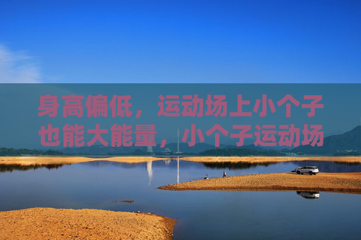 身高偏低,运动场上小个子也能大能量,小个子运动场,身高偏低,能量爆棚 身高偏低,运动场上小个子也能大能量,小个子运动场,身高偏低,能量爆棚
