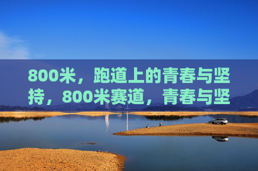 800米,跑道上的青春与坚持,800米赛道,青春与坚持的奔跑 800米,跑道上的青春与坚持,800米赛道,青春与坚持的奔跑
