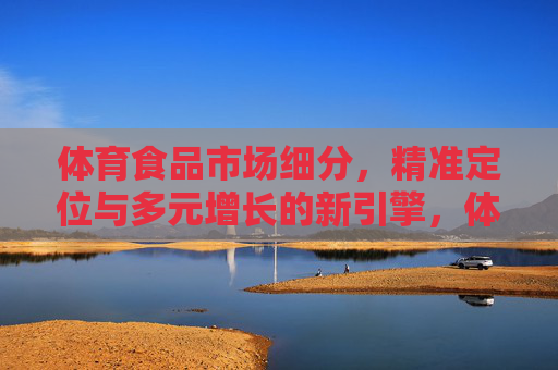 体育食品市场细分,精准定位与多元增长的新引擎,体育食品细分市场,精准定位与多元增长的新引擎 体育食品市场细分,精准定位与多元增长的新引擎,体育食品细分市场,精准定位与多元增长的新引擎