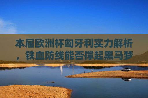 本届欧洲杯匈牙利实力解析,铁血防线能否撑起黑马梦想?本届欧洲杯匈牙利,铁血防线能否撑起黑马梦想? 本届欧洲杯匈牙利实力解析,铁血防线能否撑起黑马梦想?本届欧洲杯匈牙利,铁血防线能否撑起黑马梦想?