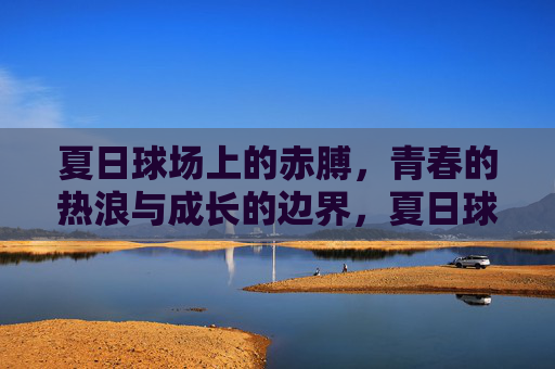 夏日球场上的赤膊,青春的热浪与成长的边界,夏日球场赤膊,青春热浪与成长边界 夏日球场上的赤膊,青春的热浪与成长的边界,夏日球场赤膊,青春热浪与成长边界