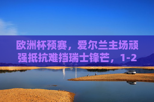 欧洲杯预赛，爱尔兰主场顽强抵抗难挡瑞士锋芒，1-2憾负出线形势告急，欧洲杯预赛，爱尔兰主场1-2憾负瑞士 出线形势告急