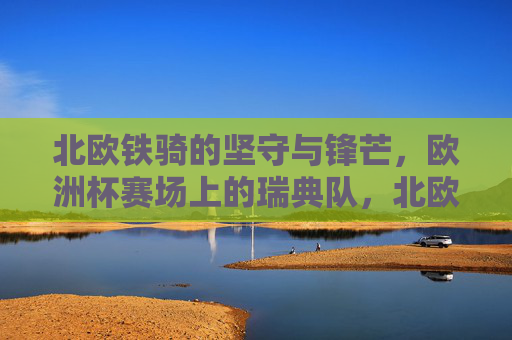 北欧铁骑的坚守与锋芒，欧洲杯赛场上的瑞典队，北欧铁骑，欧洲杯赛场上的坚守与锋芒