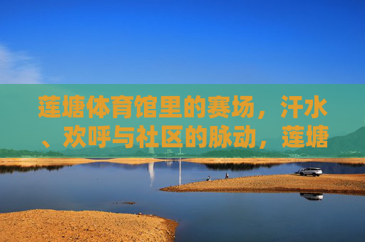 莲塘体育馆里的赛场，汗水、欢呼与社区的脉动，莲塘体育馆，赛场汗水欢呼里的社区脉动
