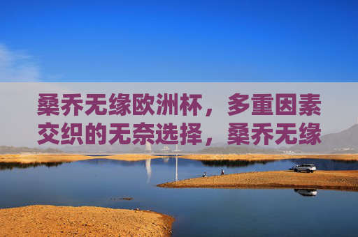桑乔无缘欧洲杯，多重因素交织的无奈选择，桑乔无缘欧洲杯，多重因素交织的无奈选择