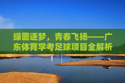 绿茵逐梦,青春飞扬——广东体育学考足球项目全解析,绿茵逐梦,青春飞扬——广东体育学考足球项目全解析 绿茵逐梦,青春飞扬——广东体育学考足球项目全解析,绿茵逐梦,青春飞扬——广东体育学考足球项目全解析