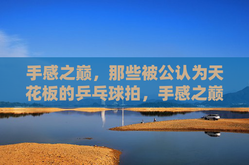 手感之巅,那些被公认为天花板的乒乓球拍,手感之巅,公认天花板乒乓球拍 手感之巅,那些被公认为天花板的乒乓球拍,手感之巅,公认天花板乒乓球拍