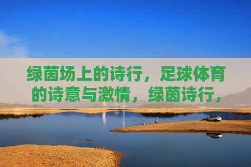 绿茵场上的诗行,足球体育的诗意与激情,绿茵诗行,足球的诗意与激情 绿茵场上的诗行,足球体育的诗意与激情,绿茵诗行,足球的诗意与激情