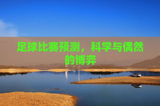 足球比赛预测,科学与偶然的博弈 足球比赛预测,科学与偶然的博弈