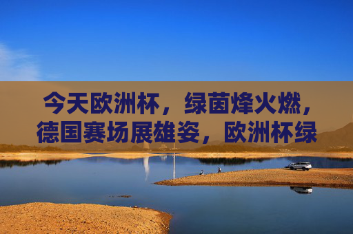 今天欧洲杯,绿茵烽火燃,德国赛场展雄姿,欧洲杯绿茵烽火燃,德国赛场展雄姿 今天欧洲杯,绿茵烽火燃,德国赛场展雄姿,欧洲杯绿茵烽火燃,德国赛场展雄姿