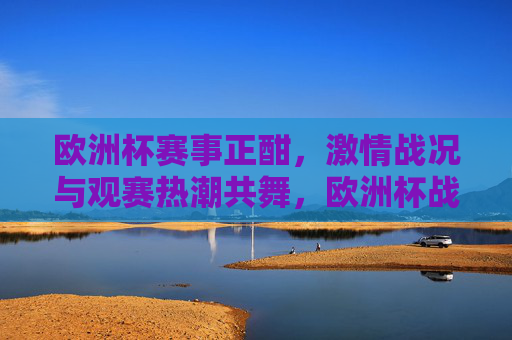 欧洲杯赛事正酣，激情战况与观赛热潮共舞，欧洲杯战况激情观赛热