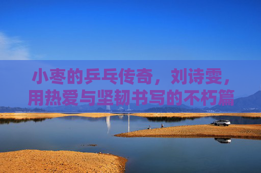 小枣的乒乓传奇，刘诗雯，用热爱与坚韧书写的不朽篇章，小枣的乒乓传奇，热爱与坚韧的不朽篇章