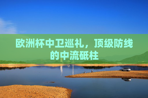 欧洲杯中卫巡礼,顶级防线的中流砥柱 欧洲杯中卫巡礼,顶级防线的中流砥柱