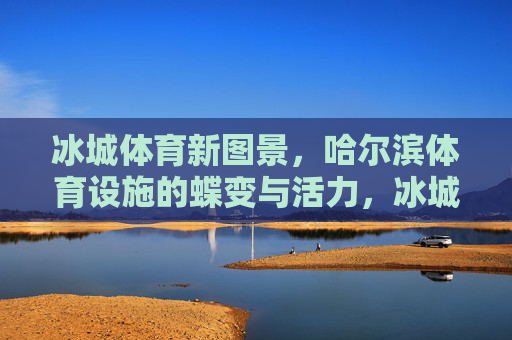 冰城体育新图景，哈尔滨体育设施的蝶变与活力，冰城体育新图景，设施蝶变焕活力